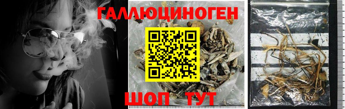 Галлюциногенные грибы мухоморы  Галлюциногенные грибы MAGIC MUSHROOMS  Слободской  Вход с VPN 
